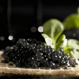 NICOULAI SELECT CAVIAR