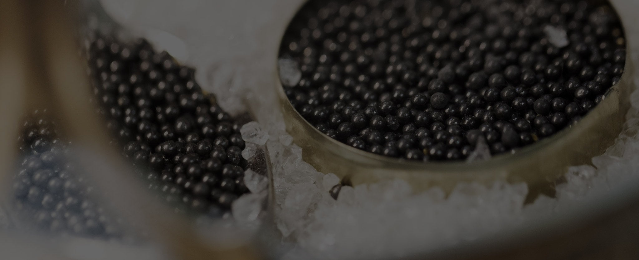 The finest delicacies across the globe